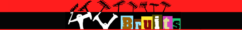 Brouillon du site TV BRUITS 